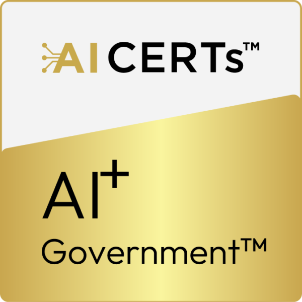 AI+ Government
