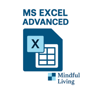 MS Excel - Advanced